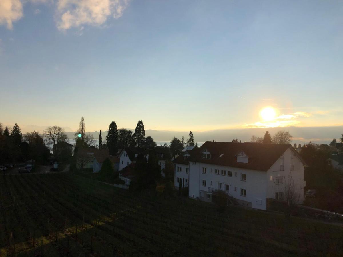 Ferienwohnungen Weingut Deufel Lindau  Zewnętrze zdjęcie