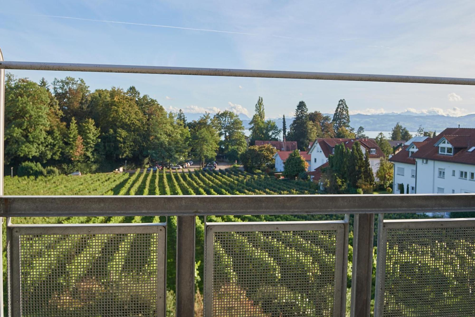 Ferienwohnungen Weingut Deufel Lindau  Zewnętrze zdjęcie